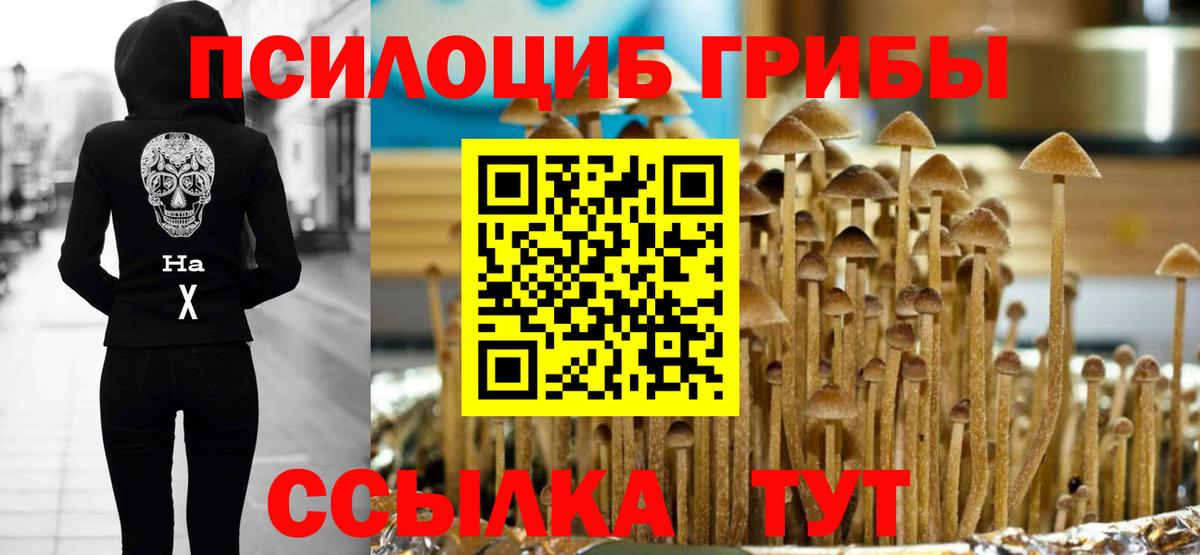 Шали  Галлюциногенные грибы Psilocybe  купить  цена  Вход с VPN 